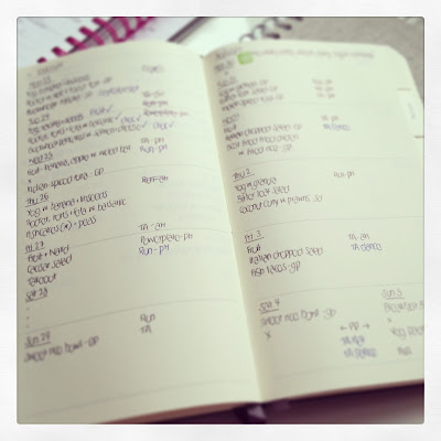 Food diary