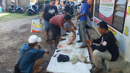 Hari Raya Idul Adha, Afiliasi Wartawan Probolinggo Raya Sembelih 2 Hewan Kurban