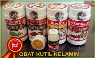 https://tokodenatureindonesia.blogspot.com/2017/10/agen-pusat-penjual-produk-obat-herbal.html