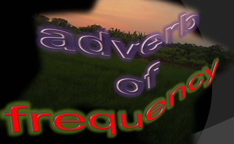 #5) adv_of_repetition | How often | everyday