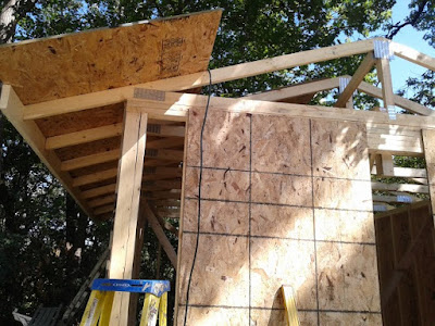 Adding sheathing to roof and walls.