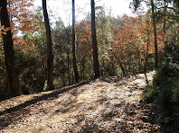 Camins de la Baga Nova