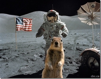 crasher moon