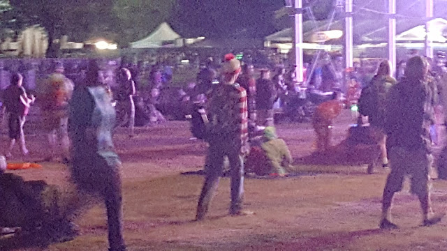 Waldo - Bonnaroo Chris 2017