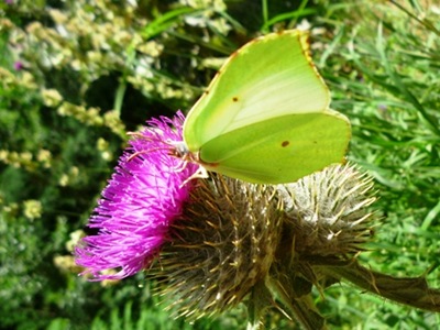 P1020877