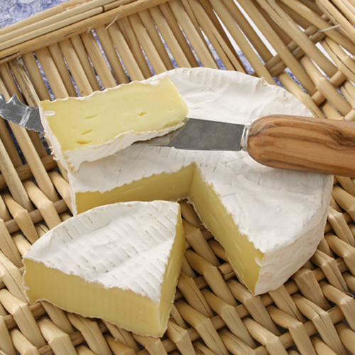 صناعة الجبن