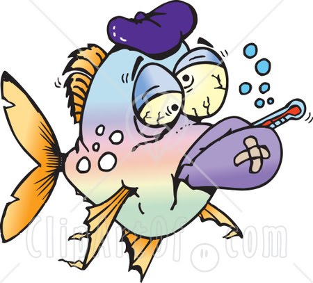 thermometers clip art. clipart fish tank. clipart