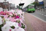 kyeongeunchoitumblr2
