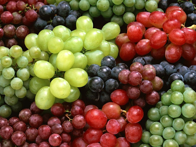 health benefits of grapes,benefits of grapes,grapes,grapes benefits,grapes health benefits,benefits of grape,benefits of green grapes,health benefits of grapes in hindi,are grapes good for you,grape,red grapes,grape juice benefits,grape benefits,red grapes health benefits,grapes nutrition,grape benefits and side effects,grape health benefits,health benefits of dry grapes in tamil