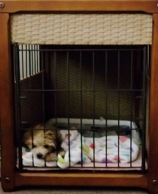 Solvit Mr. Herzher's Wicker Pet Residence dog kennel