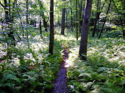 Cartecay River trail