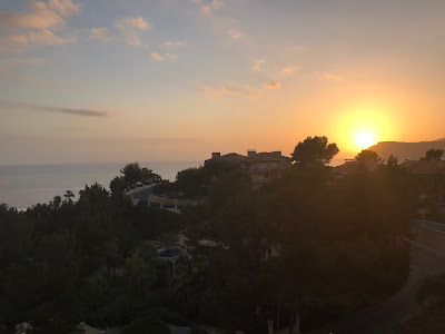 trees and the sunset over the sea in mallorca