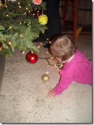 DSCN7371