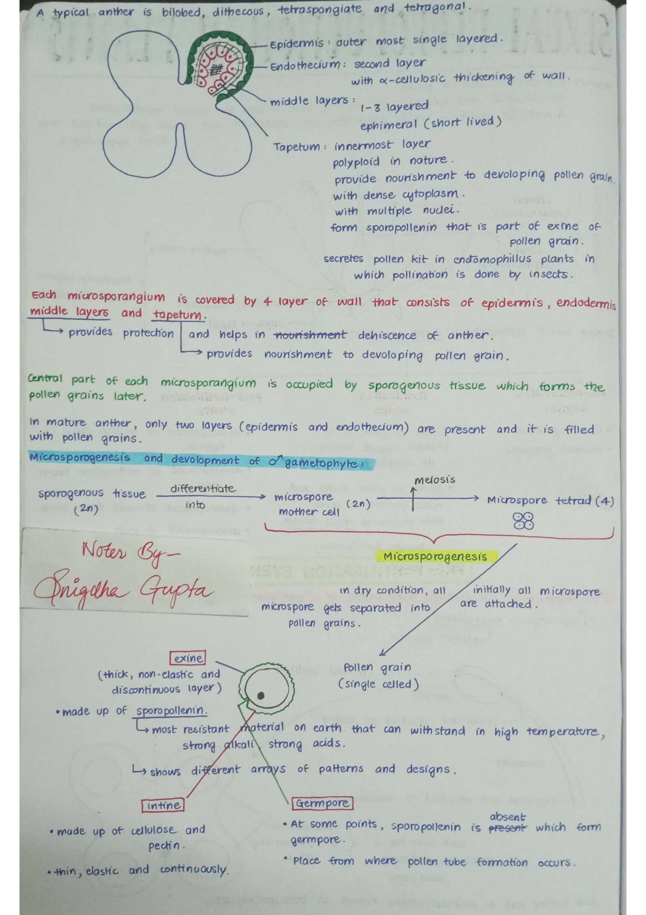 Sexual Reproduction in Flowering Plants - Biology Short Notes 📚