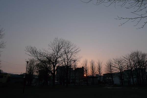 P10106581.jpg