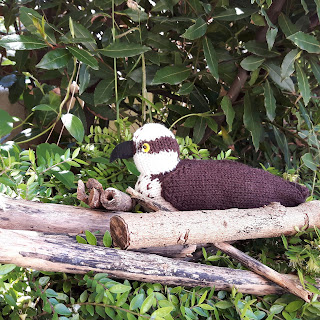 Osprey knitting pattern by Nicky Fijalkowska