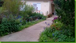 IMG_00004053