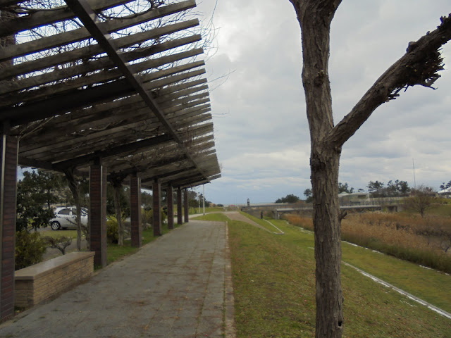 冬の弓ヶ浜公園