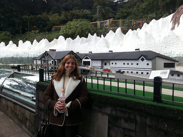 Aeropuerto Internacional Bariloche