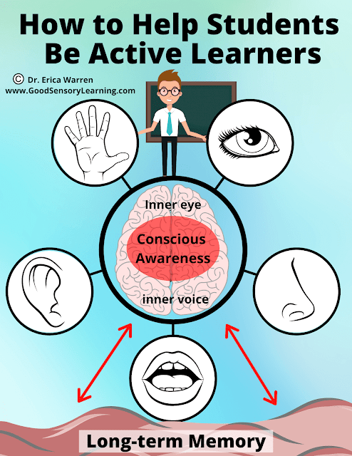 Diagram of the senses and the brain that depicts active learning.