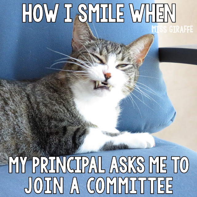 Funny teaching pictures with cats! How I smile when my principal asks me to join a committee - click to see more hilarious Funny Cat Teacher Pictures!