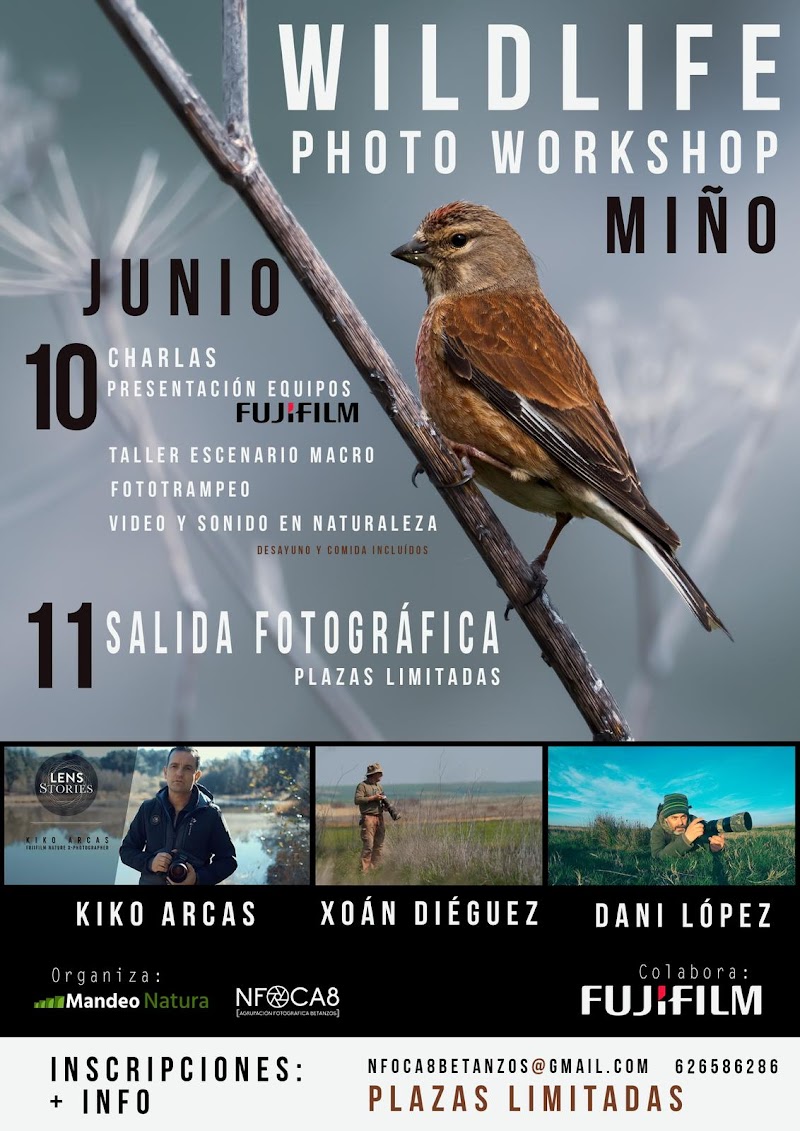 Wildlife Photo Workshop Miño