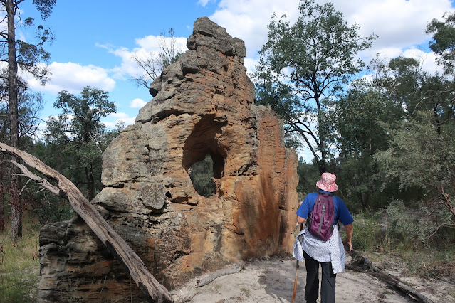 Dell looking at "Looking Glass" rock formation