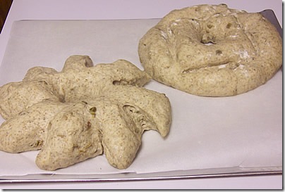 BBA-sunflower-seed-rye 034