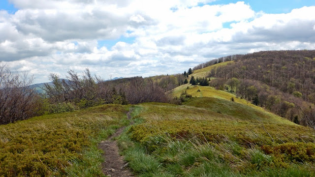 Bieszczady