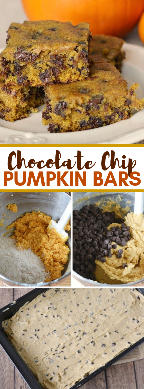 Delicious Pumpkin Chocolate Chip Bars #desserts #pumpkindessert