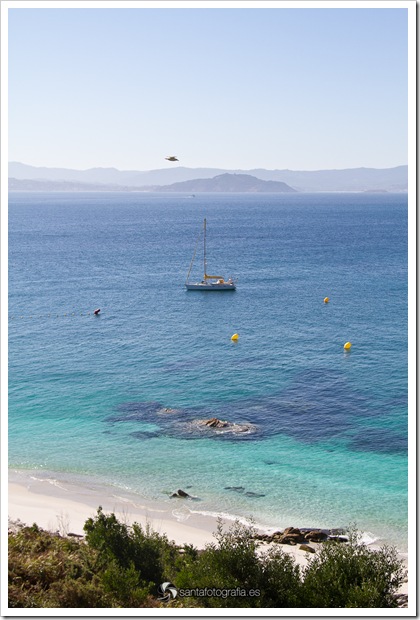 cies-10