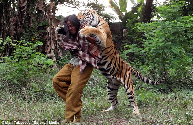 Persahabatan manusia  dengan harimau
