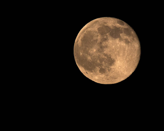 600mm DSLR Image taken one day after full strawberry moon (Source: Palmia Observatory)