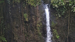 Air Terjun Lalake Patarselamat Objek Wisata Alam Terbaik Di Pulau Bawean