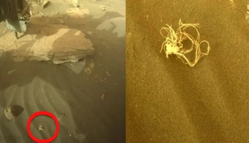 Threads? Wires? Roots? Another strange discovery on Mars