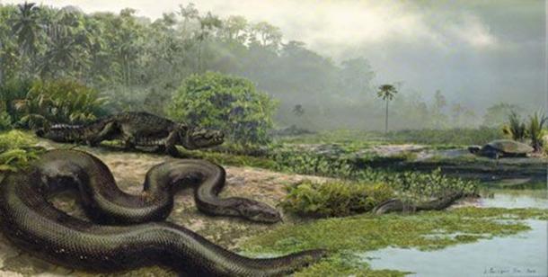 Titanoboa con un dirosauro e una tartaruga. ( Jason Bourque/Università della Florida )