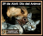 29 de Abril: Dia del Animal
