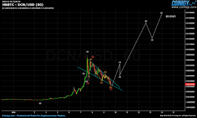 Haejin Lee Dentacoin DCN