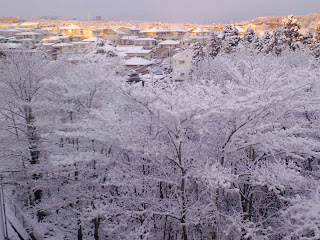 写真：　7日目朝の雪景色　その3