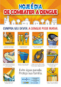 Esta é a mais séria apresentação da dengue e se caracteriza por uma grande . (bannerdengue )