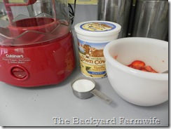 strawberry fro yo 02