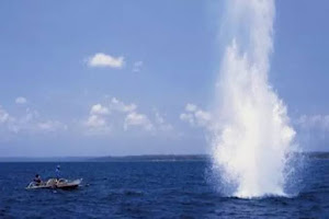 Makin Marak, Polairud Maluku Utara Diminta untuk Tindak Pelaku Bom Ikan