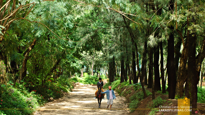 Horse Riding at Baguio's Wright Park