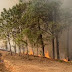 Incendio en Oaxaca deja seis personas muertas