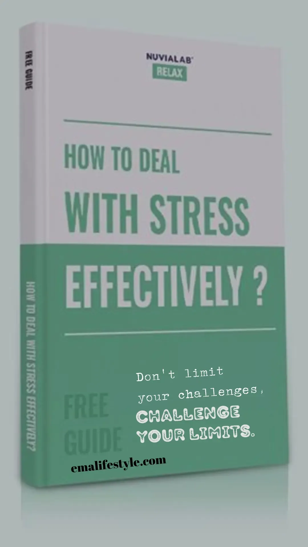 free Guide stress management pdf