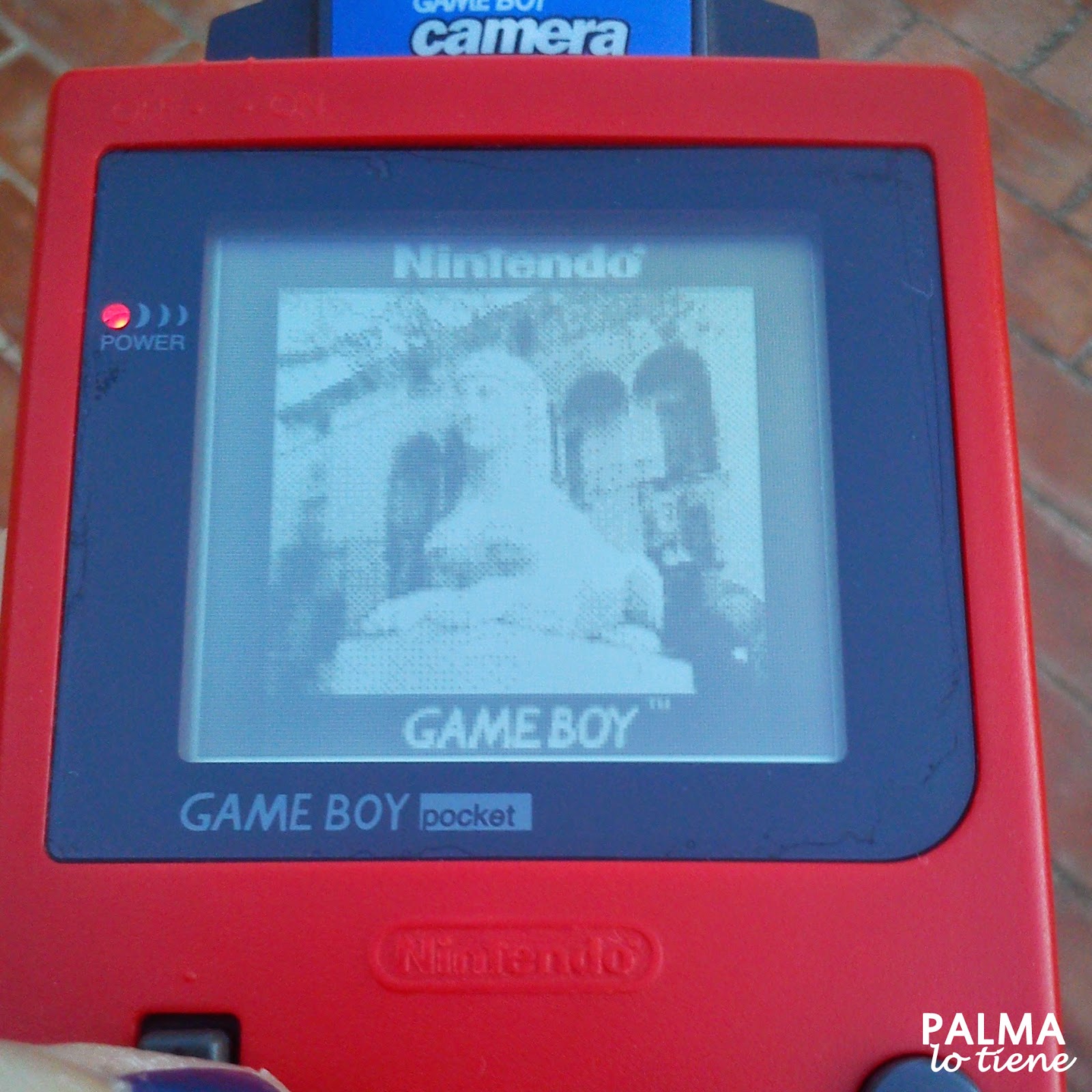 http://palmalotiene.blogspot.com.es/2014/09/palma-atrapada-en-la-game-boy-camera.html