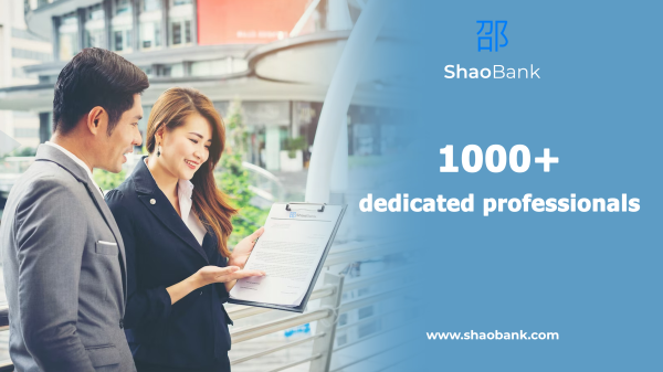 SHAOBANK.COM DETAILED ANALYSIS: CURRENT STATUS AND INVESTMENT TERMS