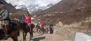 kedarnath yatra chardham yatra