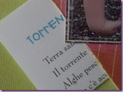 IL TORRENTE (5)