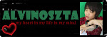 i'm ALVINOSZTA